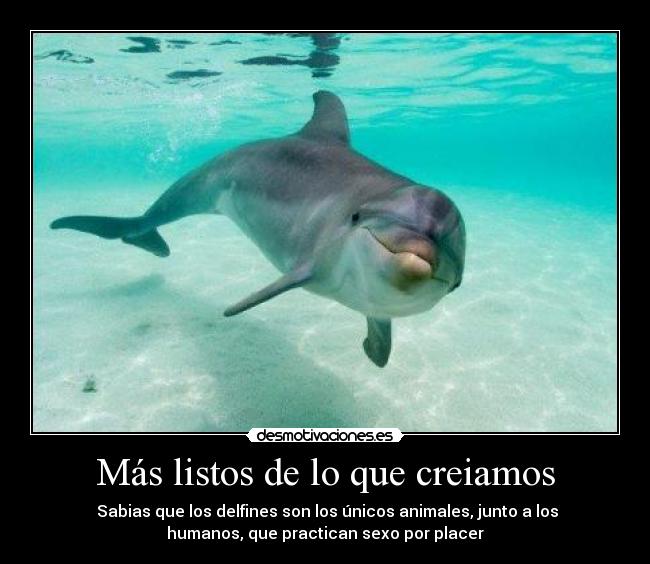 Más listos de lo que creiamos - 