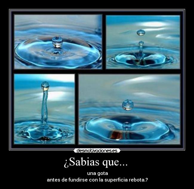 ¿Sabias que... -