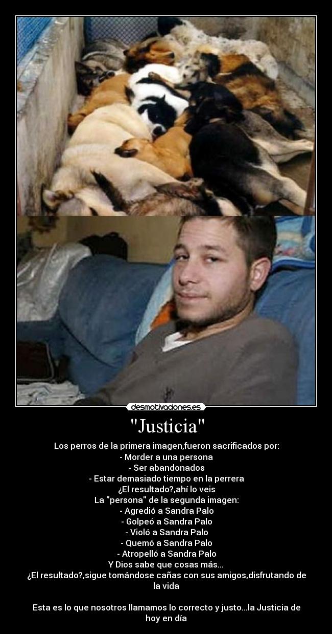 Justicia - Los perros de la primera imagen,fueron sacrificados por:
- Morder a una persona
- Ser abandonados
- Estar demasiado tiempo en la perrera
¿El resultado?,ahí lo veis
La persona de la segunda imagen:
- Agredió a Sandra Palo
- Golpeó a Sandra Palo
- Violó a Sandra Palo
- Quemó a Sandra Palo
- Atropelló a Sandra Palo
Y Dios sabe que cosas más...
¿El resultado?,sigue tomándose cañas con sus amigos,disfrutando de la vida
Esta es lo que nosotros llamamos lo correcto y justo...la Justicia de hoy en día