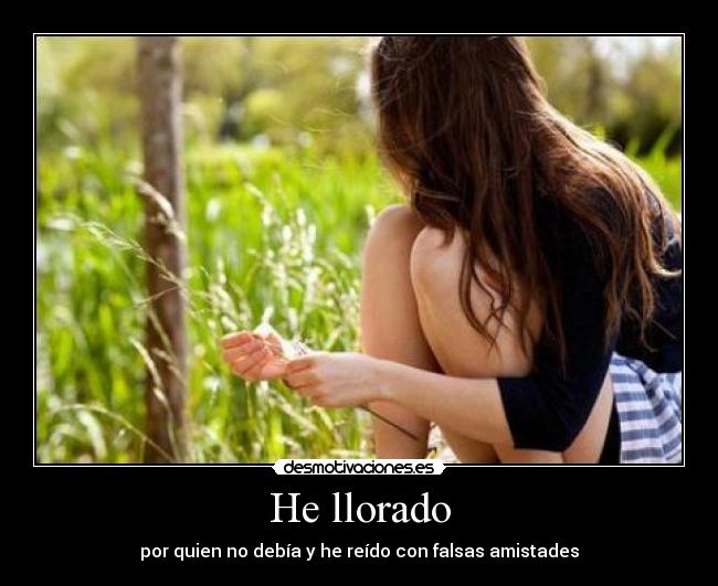 He llorado - por quien no debía y he reído con falsas amistades