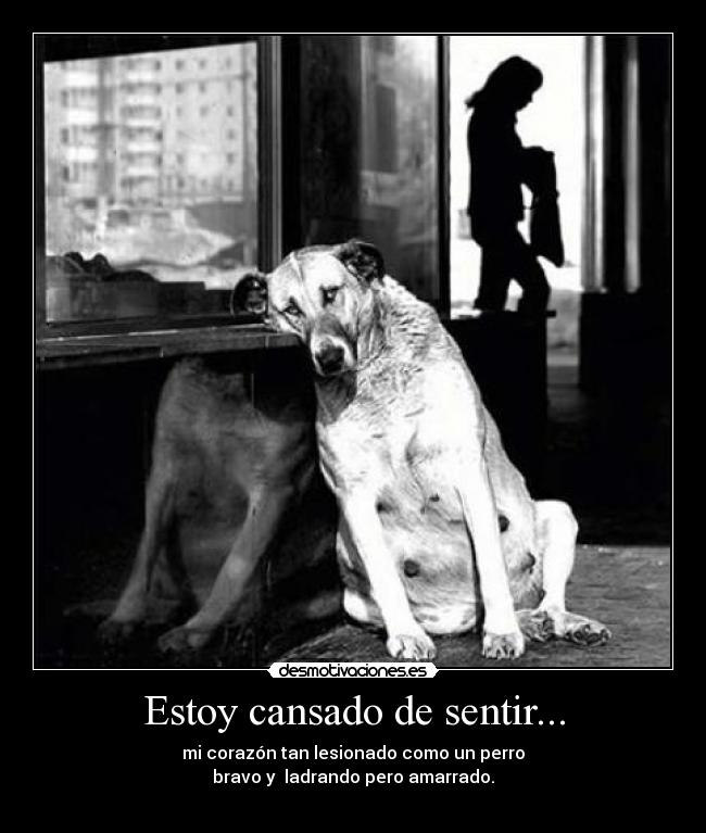 Estoy cansado de sentir... - 