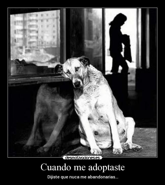 Cuando me adoptaste - 