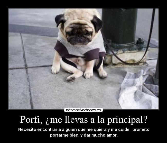 Porfi, ¿me llevas a la principal? - 