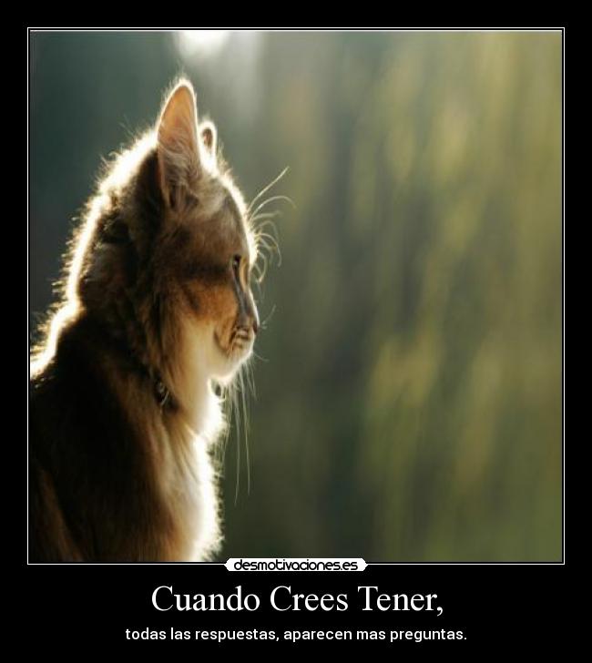 Cuando Crees Tener, - todas las respuestas, aparecen mas preguntas.