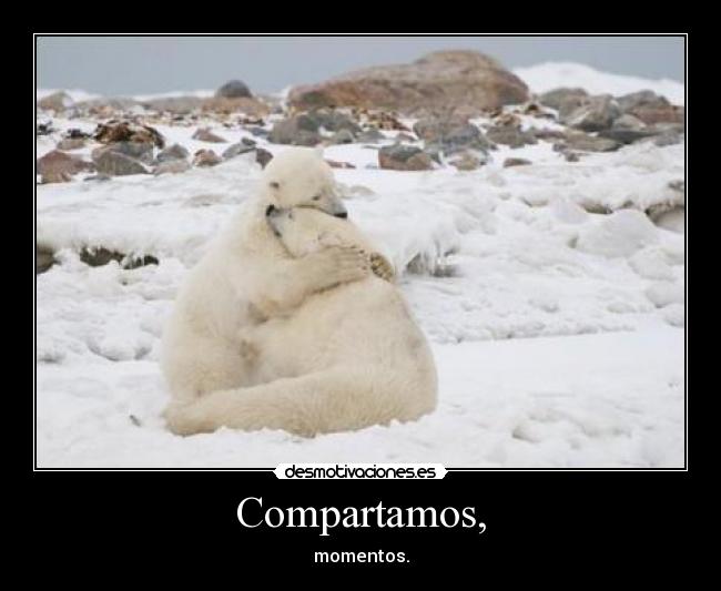 Compartamos, - 