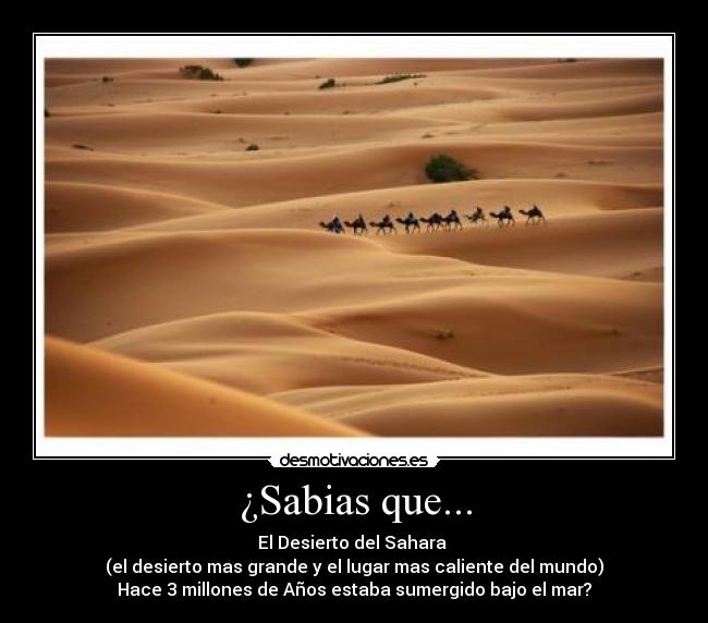 ¿Sabias que... - El Desierto del Sahara
(el desierto mas grande y el lugar mas caliente del mundo)
Hace 3 millones de Años estaba sumergido bajo el mar?
