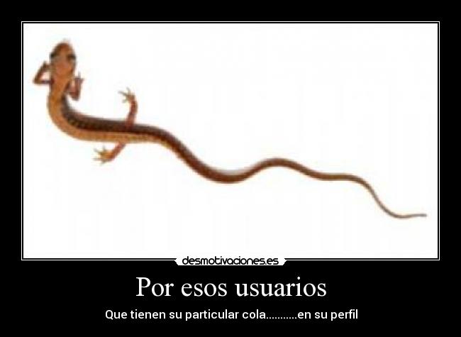 Por esos usuarios - Que tienen su particular cola...........en su perfil
