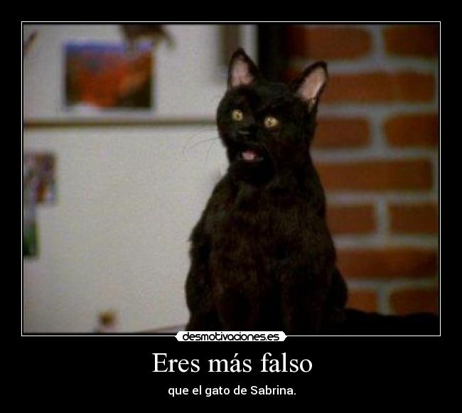 Eres más falso - que el gato de Sabrina.