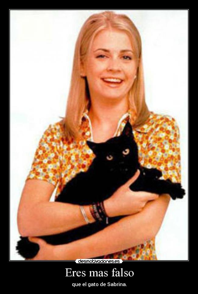 Eres mas falso - que el gato de Sabrina.