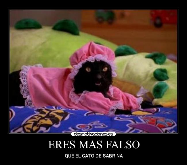 carteles falso sabrina salem gato desmotivaciones