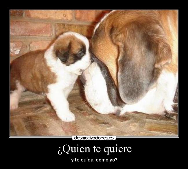 ¿Quien te quiere - y te cuida, como yo?