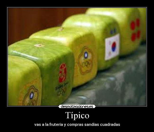 Típico - vas a la frutería y compras sandías cuadradas