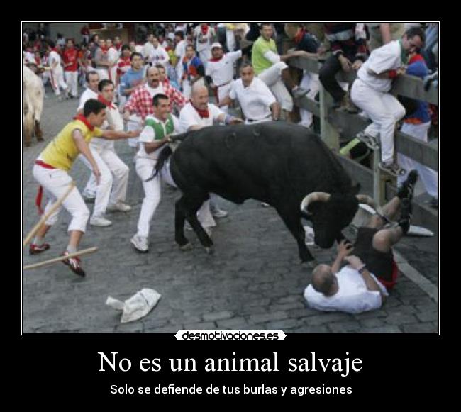 No es un animal salvaje -
