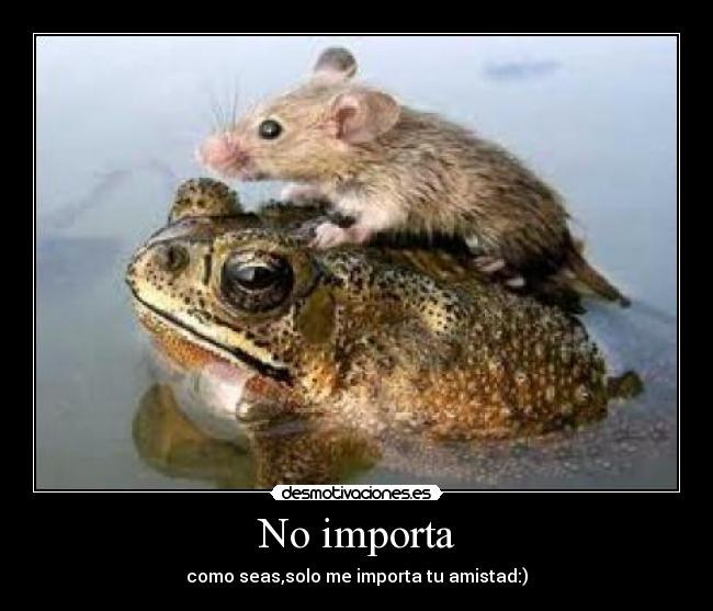 No importa -