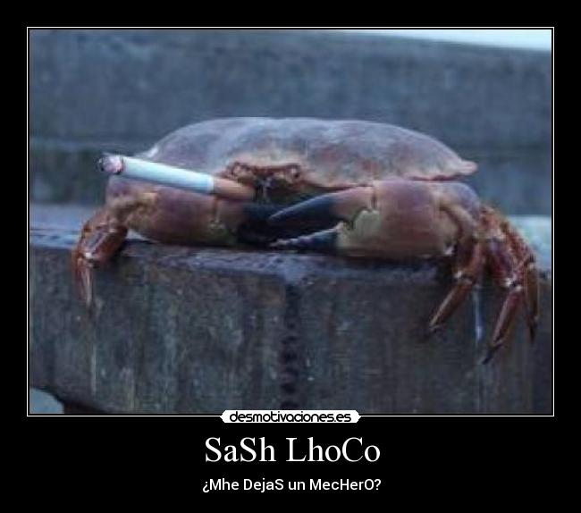 carteles cangrejo cani desmotivaciones