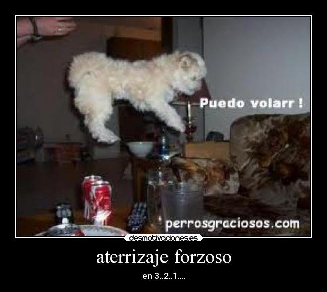 aterrizaje forzoso -