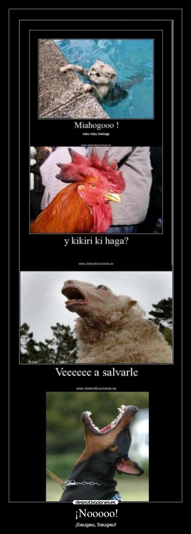 ¡Nooooo! - ¡Saugau, Saugau!