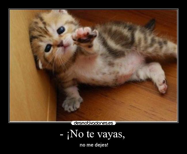 - ¡No te vayas,  - no me dejes!