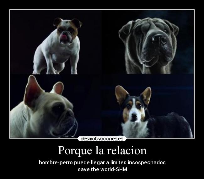 Porque la relacion - hombre-perro puede llegar a limites insospechados
save the world-SHM