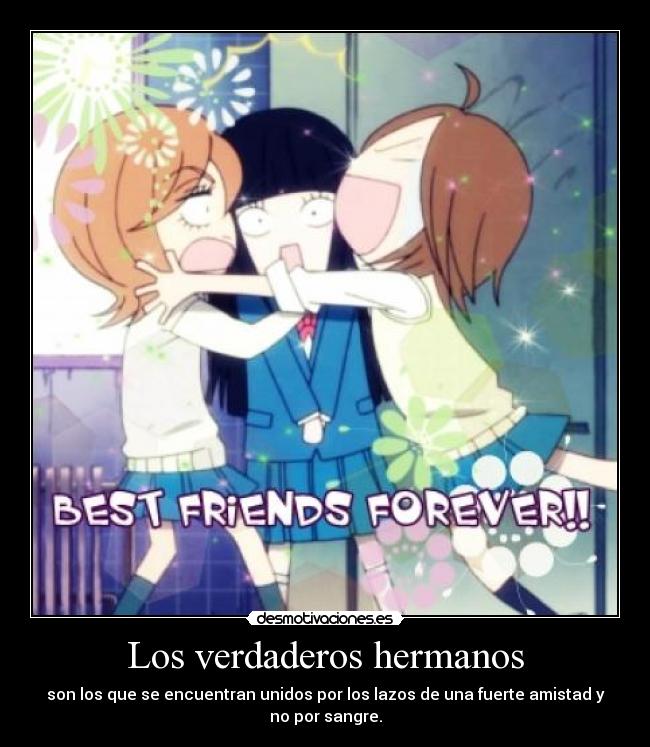 Los verdaderos hermanos - 