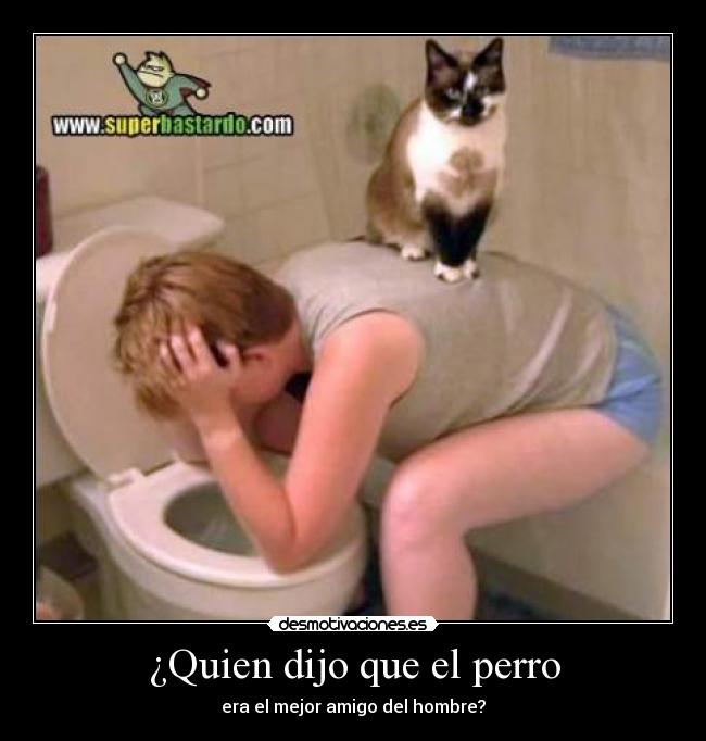 carteles gato desmotivaciones