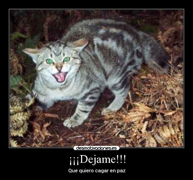 ¡¡¡Dejame!!! - Que quiero cagar en paz