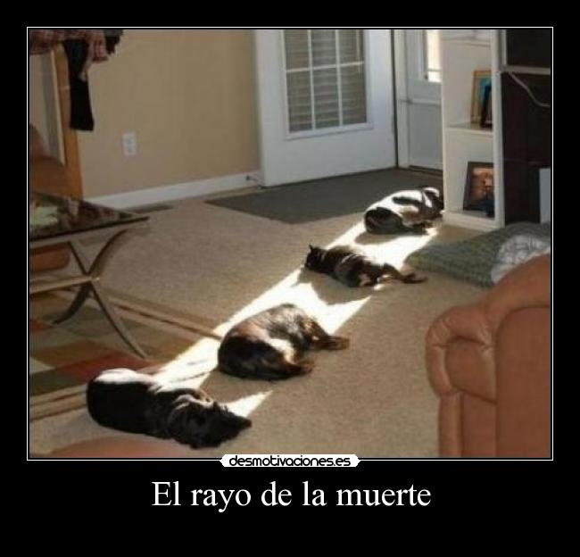 carteles muerte rayo desmotivaciones