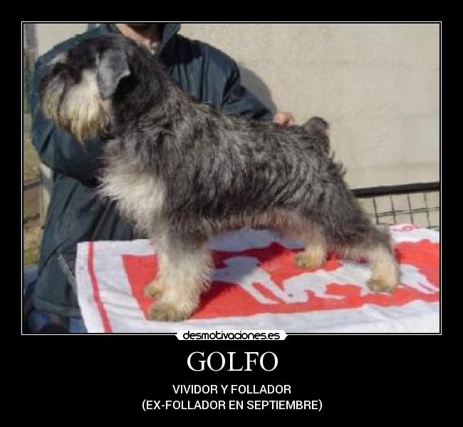 GOLFO - 