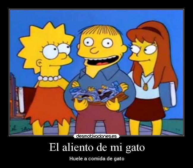 El aliento de mi gato -