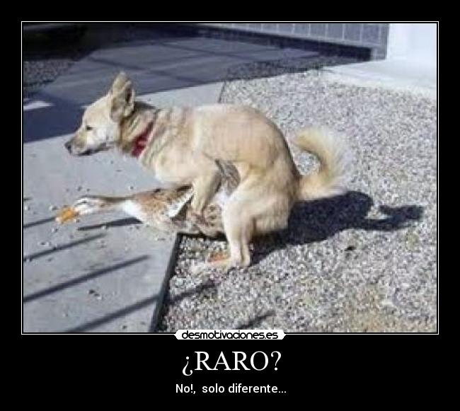 ¿RARO? - No!, solo diferente...