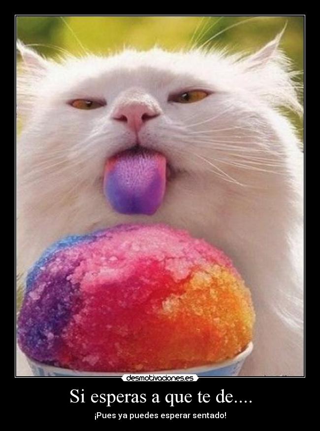 Si esperas a que te de.... - ¡Pues ya puedes esperar sentado!