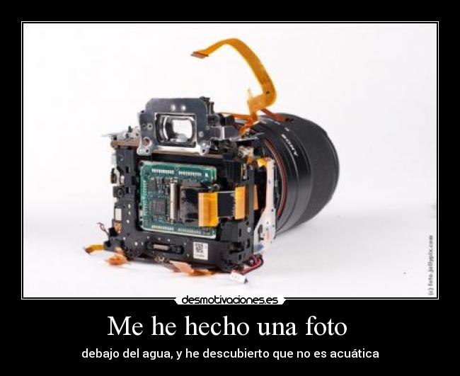 Me he hecho una foto - debajo del agua, y he descubierto que no es acuática