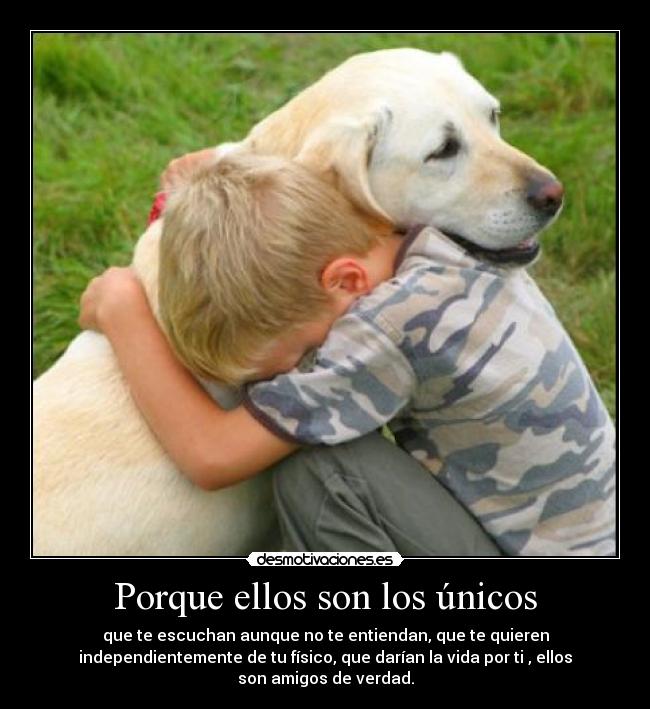 Porque ellos son los únicos -