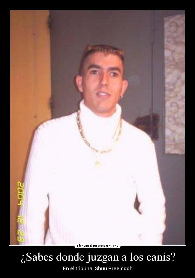 ¿Sabes donde juzgan a los canis? - En el tribunal Shuu Preemooh