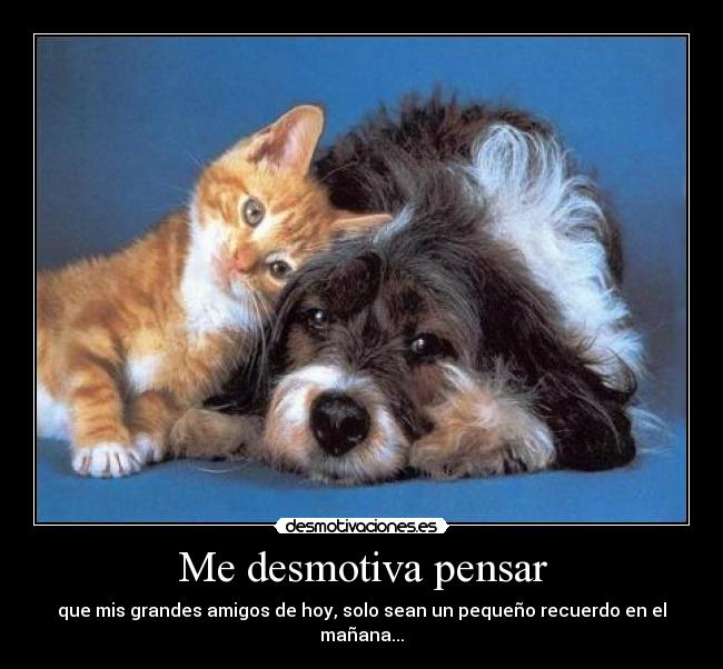 Me desmotiva pensar -