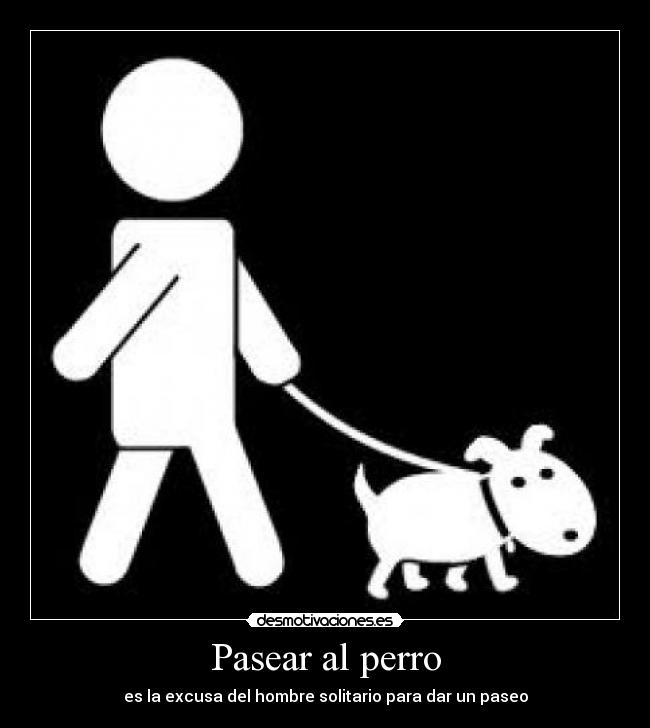 Pasear al perro - 