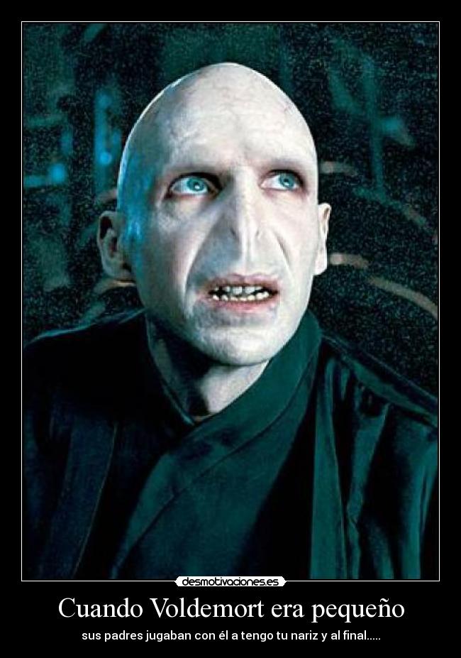 carteles voldemort desmotivaciones