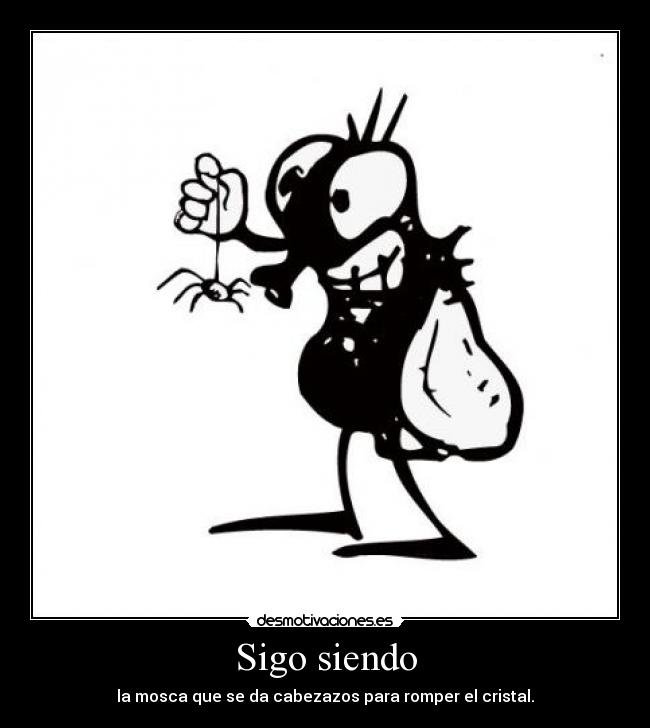 Sigo siendo - la mosca que se da cabezazos para romper el cristal.