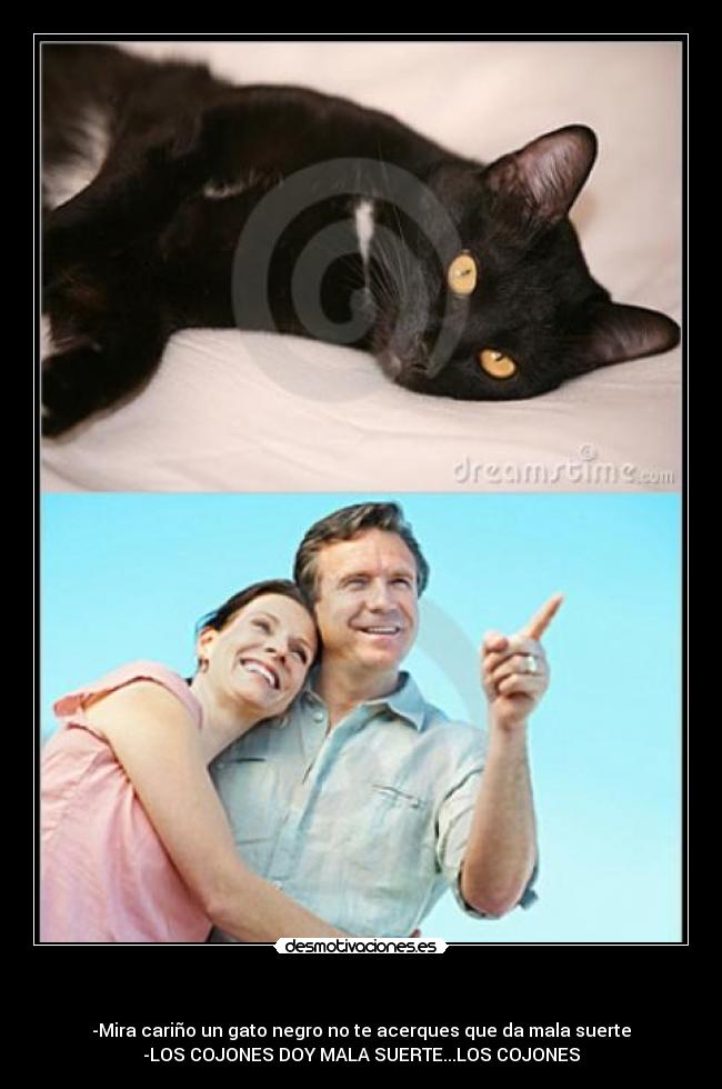 - -Mira cariño un gato negro no te acerques que da mala suerte
-LOS COJONES DOY MALA SUERTE...LOS COJONES
