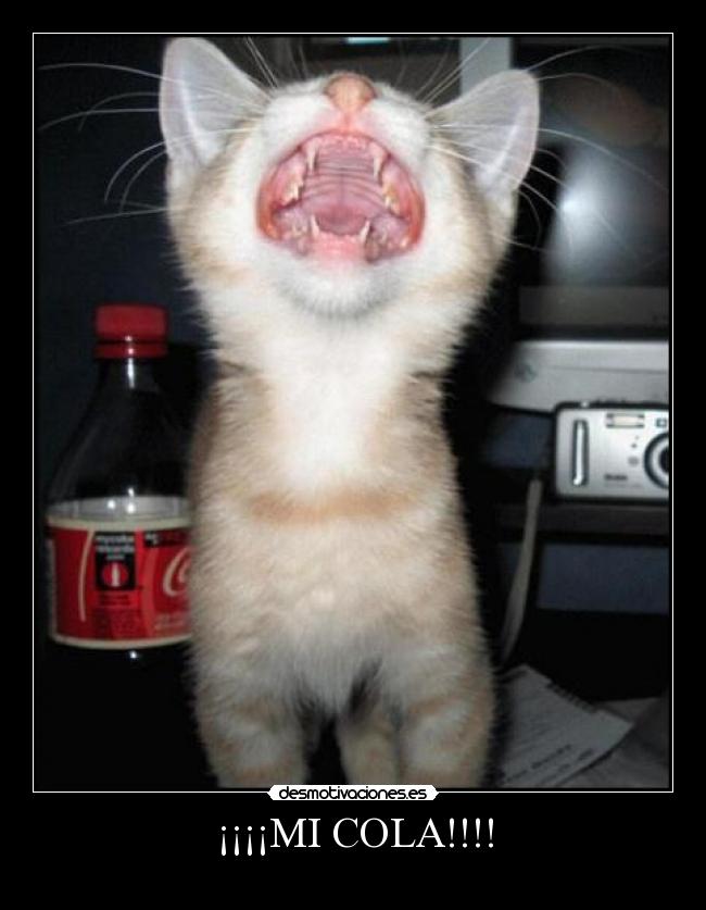 ¡¡¡¡MI COLA!!!! -