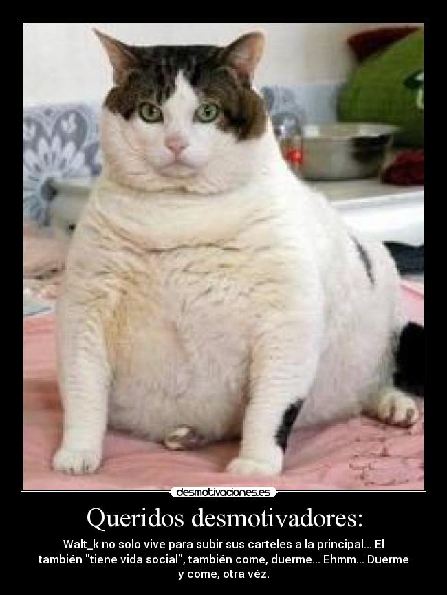 Queridos desmotivadores: - 
