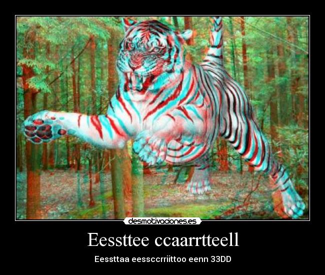 carteles wsedf desmotivaciones