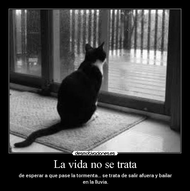 La vida no se trata - 