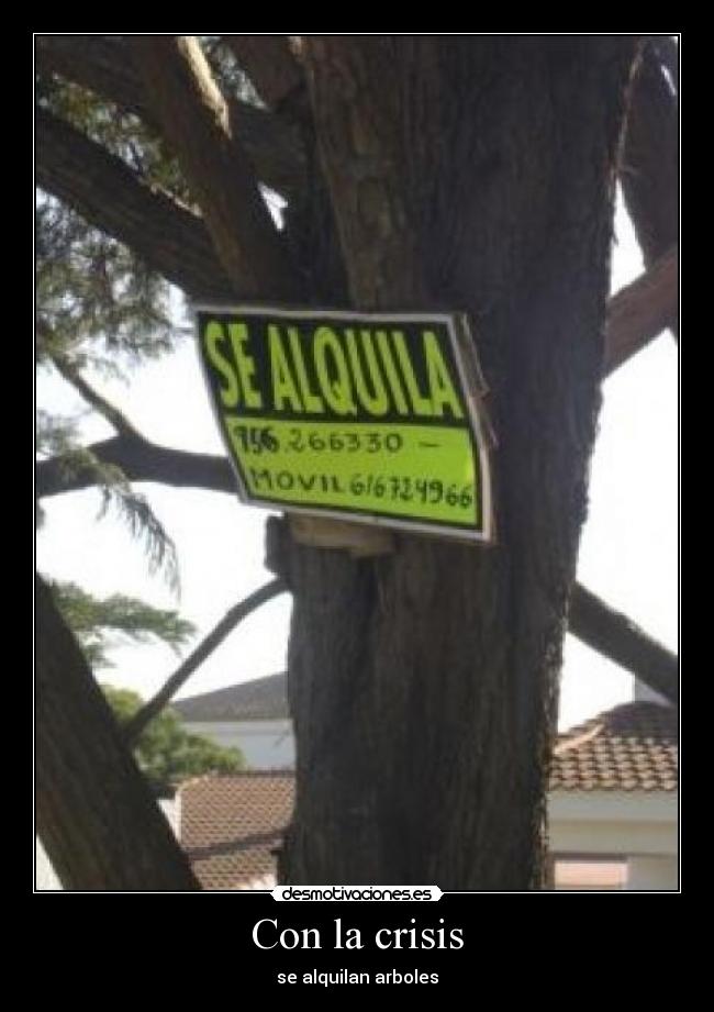 Con la crisis - se alquilan arboles