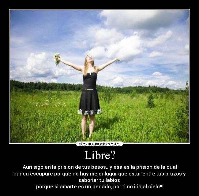 carteles libre desmotivaciones