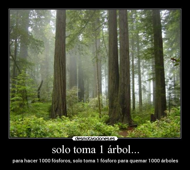 solo toma 1 árbol... -