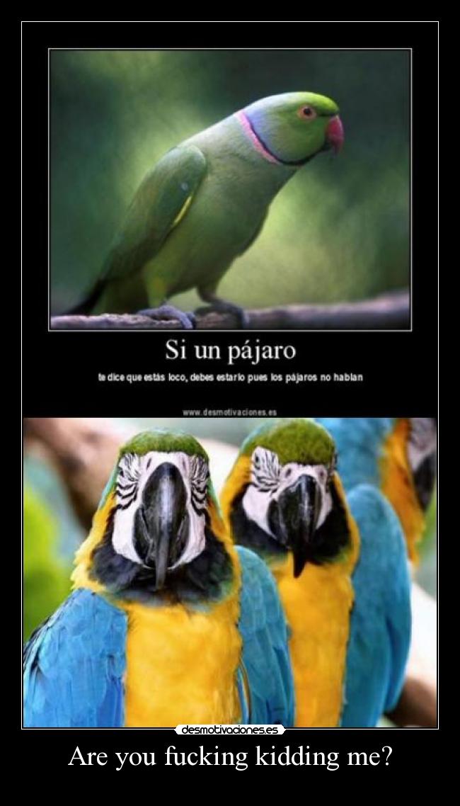 Are you fucking kidding me? -