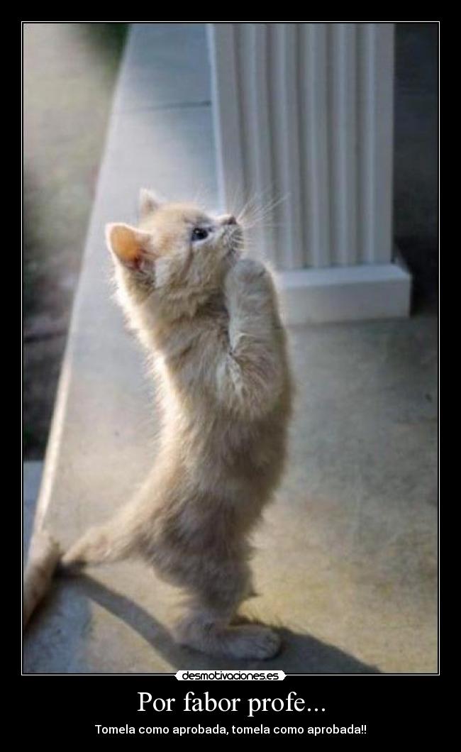 Por fabor profe... - Tomela como aprobada, tomela como aprobada!!