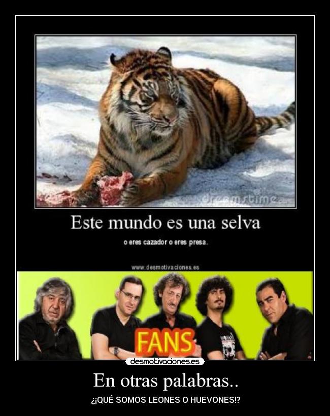 En otras palabras.. - ¿¡QUÉ SOMOS LEONES O HUEVONES!?