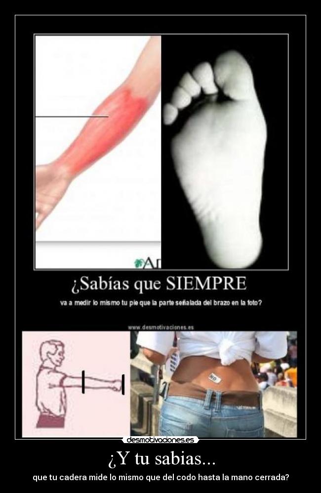 ¿Y tu sabias... - 